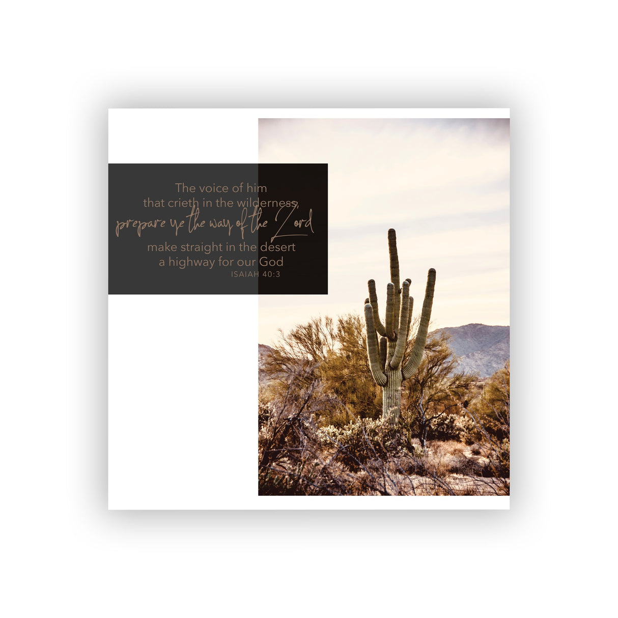 Desert Desktop Collection