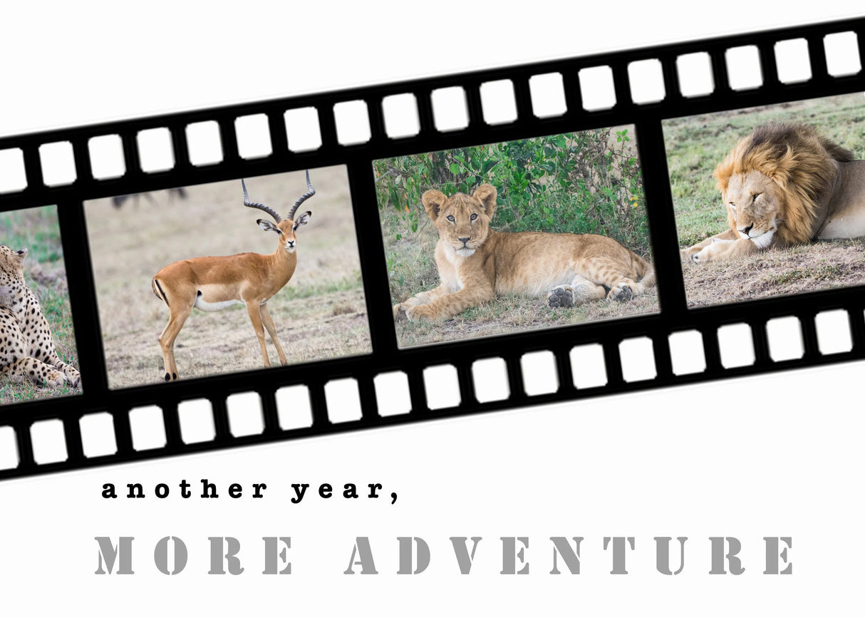 Another Year, More Adventure