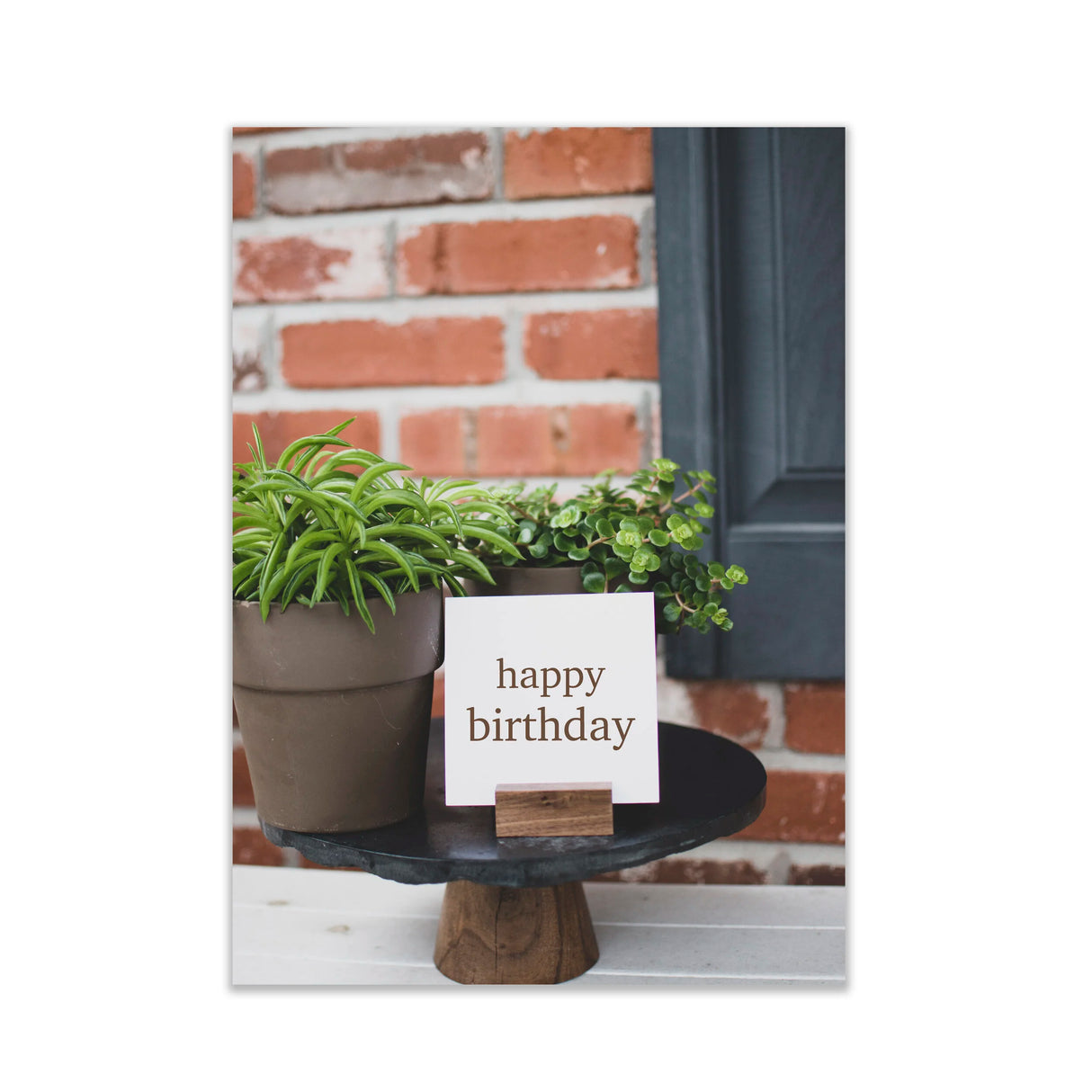 Succulent Brick Happy Birthday