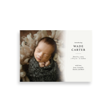 Faded Ivory birth announcement