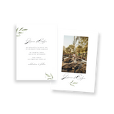 Olive Branch Wedding Invitation