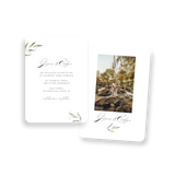 Olive Branch Wedding Invitation rounded corners
