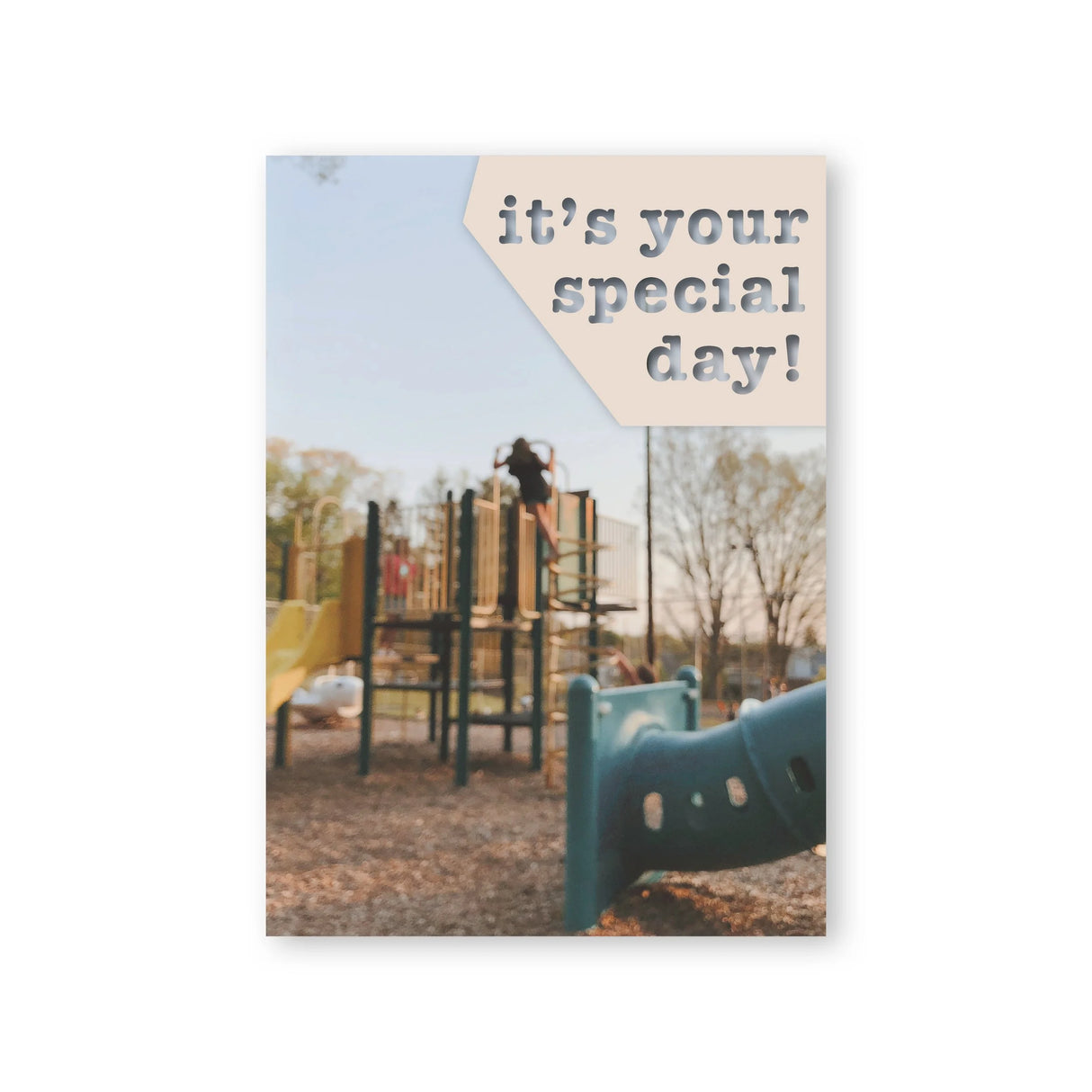It's Your Special Day Playground