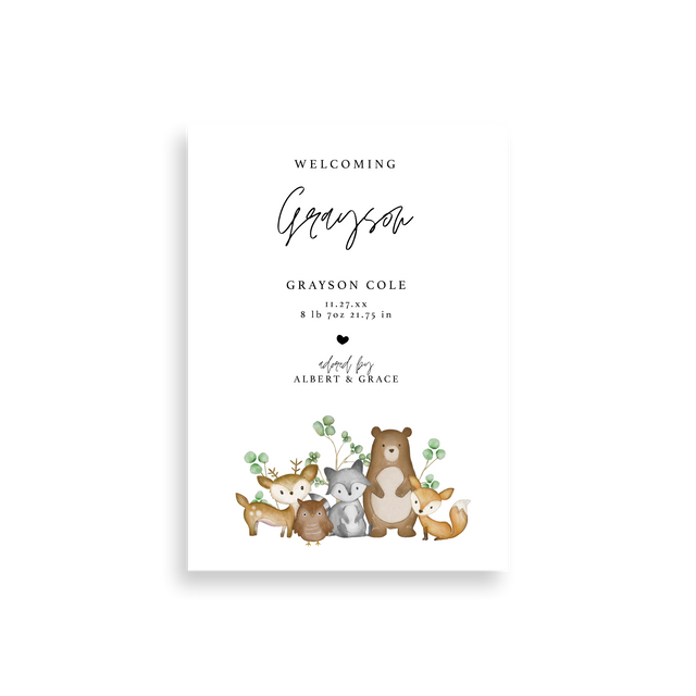 Woodland Creatures birth announcement