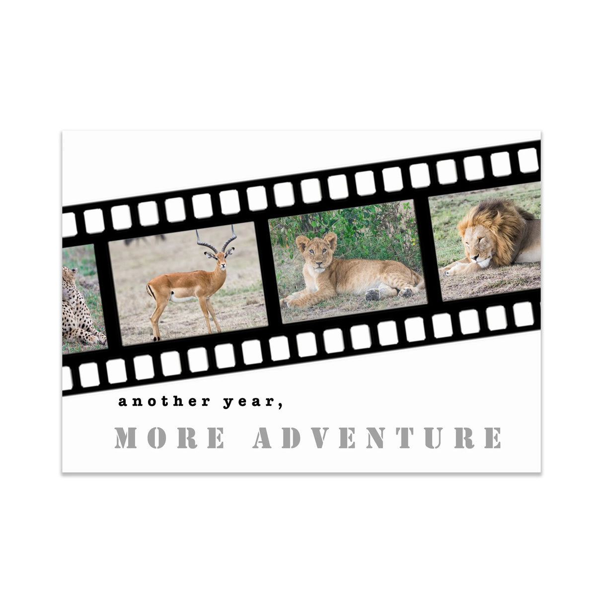 Another Year, More Adventure