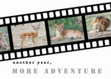 Another Year, More Adventure