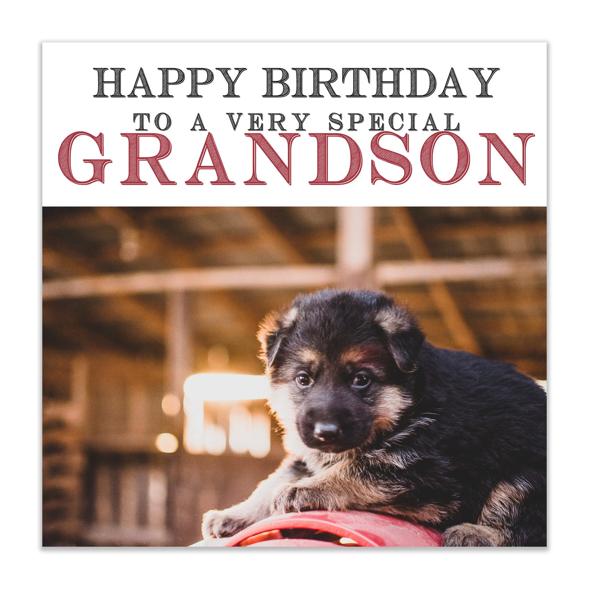 Happy Birthday Grandson